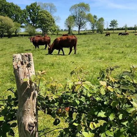 Bed & Breakfast Le Verger