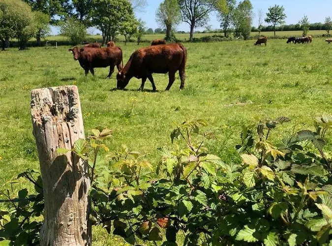 Couette-café Le Verger